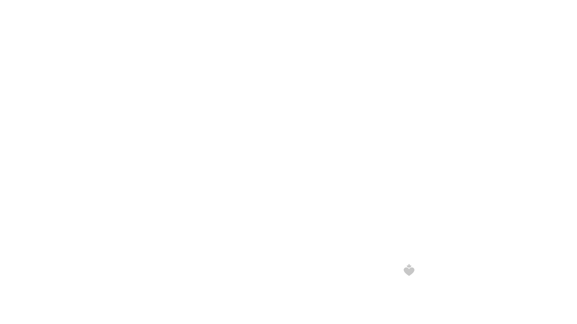 PALS program wordmark