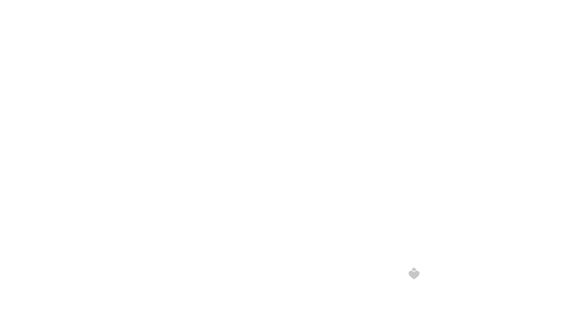 BLS program wordmark